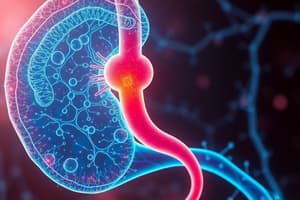 JAYS QUIZPAD: Kidney Biochemistry and Nephron Functions