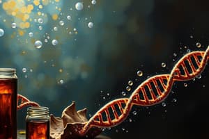 DNA Polymerase Introduction