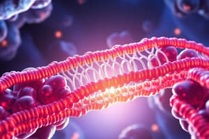 Cell Membrane Structure and Function