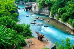 Ecotourism Concepts and Characteristics