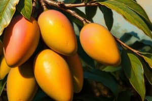 Mangoes: Nature and Nutrition