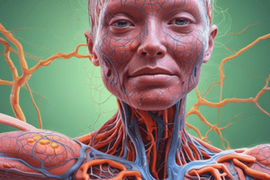 Lymphatic System Overview