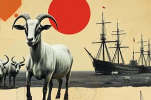 Livestock on Ships