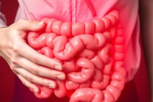 Irritable Bowel Syndrome (IBS)