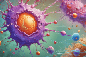 Chromatin Condensation Process