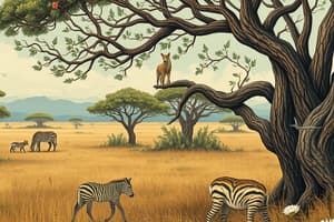 African Savanna Ecosystems