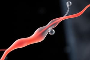 Human Biology: Sperm Formation and Structure