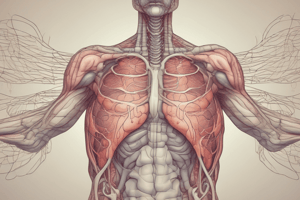 Week 2: The Respiratory System