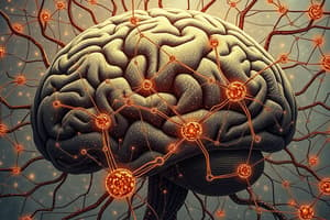 Neural Network Fundamentals and Brain Architecture