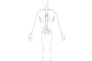 Concentrazione Urinaria e Disidratazione (Fisiologia 70)