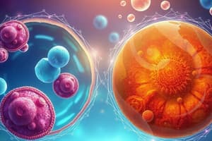 Eukaryotic Cell Organization Quiz