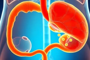 Bile Acid Synthesis and Cholesterol Degradation