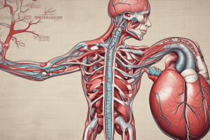 Circulatory System