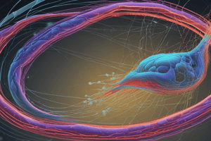 Biology: Cellular Structures and Junctions