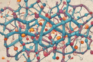 Amino Acid Structure and Properties