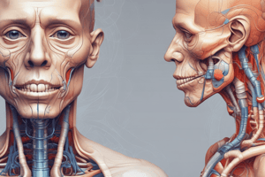 Medical Terminology: Dyspnoea, Wheeze, Stridor, Haemoptysis Quiz