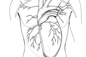 Histologie cardiovasculaire et lymphatique