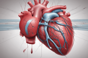 Cardiovascular System Quiz