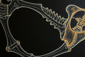 Biomechanical Properties of Bone