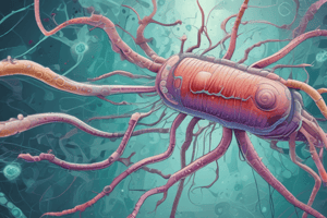 Vibrio cholerae : Identification et traitement