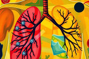 Respiration and the Respiratory Tract