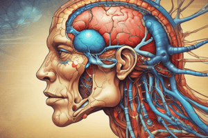 Physiology 2: Hypothalamus & Pituitary Gland Quick review