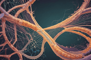 Folic Acid Deficiency and Neural Tube Defects