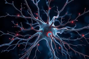 Multipolar Neuron Label Diagram