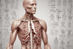 Human Anatomy and Physiology Quiz