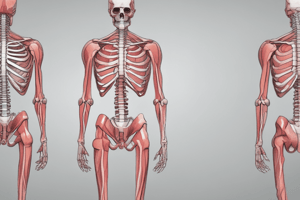 Y1S2 005 III Pharmacology of Skeletal Muscle Systems