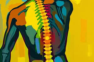OMT for Low Back Pain Relief