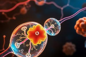 Biology Chapter 4: Cellular Respiration