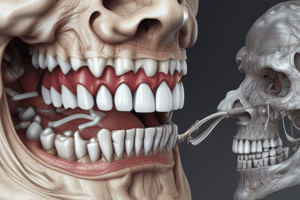 Mandibular First Premolar Characteristics