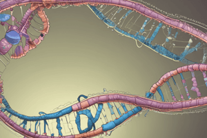 RNA Transcription and Protein Synthesis Quiz