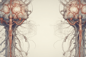 Lower Motor Neuron Lesion