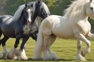 GHRA Breed Standard for Gypsy Cob Horses