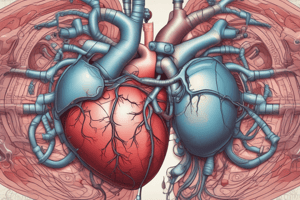 Chordae Tendinae in AV Valves