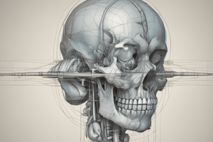 Anatomia - Plano de Camper