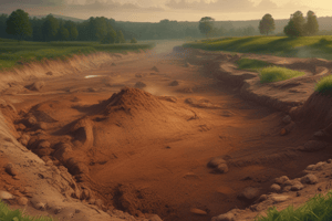 Contaminación de Suelos: Factores a Considerar