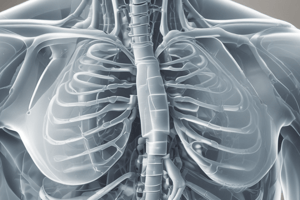 Radiological Examination of the Chest