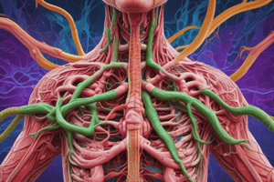 Lymphatic System and Immune Response Quiz