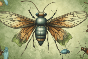 Insects: Orders and Evolutionary Relationships Quiz