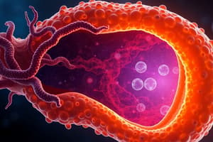 Endosome Maturation and SNARE Proteins