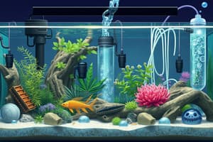 Aquarium Parts and Functions