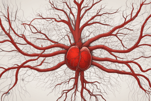 Blood Vessels and Circulation Concepts