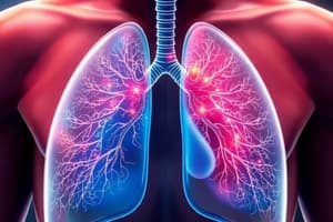 Human Respiratory System Quiz