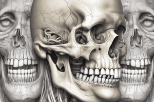 TMJ Biomechanics and Functions