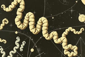 Protein Structure and Folding Quiz