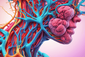 Endocrine System and Hormones Overview