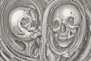 Anatomy of Perineum